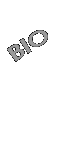 Bio